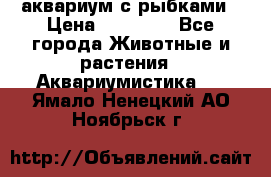 аквариум с рыбками › Цена ­ 15 000 - Все города Животные и растения » Аквариумистика   . Ямало-Ненецкий АО,Ноябрьск г.